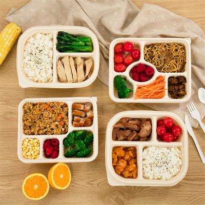 China Bio Bento Lunch Box Leakproof Kids Degradable Modern Divided for Office Workers for sale