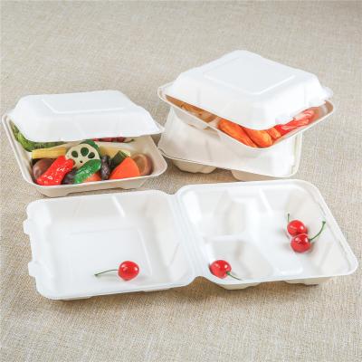 China 3000ml Biodegradable Disposable Food Container Box for sale