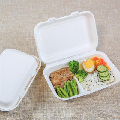 China Cornstarch Biodegradable Containers Box Disspos Tiffin Food Packaging Boxes With Transparen for sale