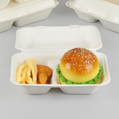 China Biodegradable Underwear Box Design Disposable Clamshell Containers Food Cone Lunch Packaging for sale