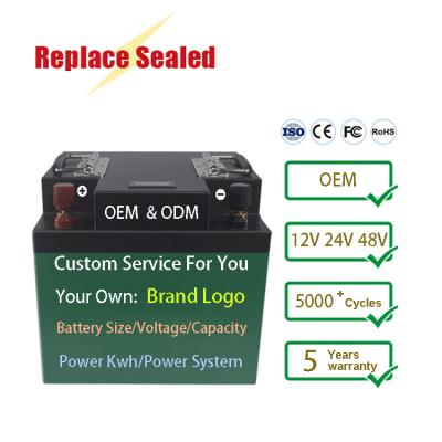 China Toys Lead Acid Replacement Customized Deep Cycle 100Ah 200Ah 300Ah 400Ah Lifepo4 Pack 12V 24V 48V Lithium Ion Batteries for sale