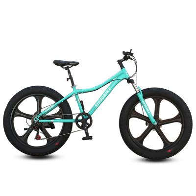 China Hot selling street alloy handlebar bicycle mountain bike fat tire snow mountain bicycle for sale