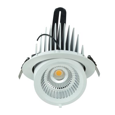 China Modern 190mm 175mm cuthole 40w 50w 60w gimbal rotatable and adjustable tilt LED downlight for sale