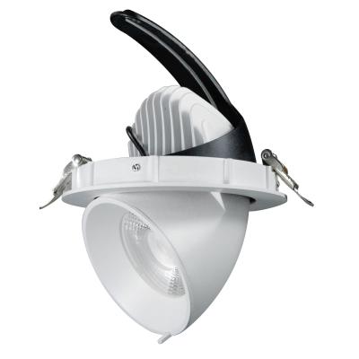 China RS2001-0740A2 175mm retail shop cuthole 40w 50w elephant trunk led downlight gimbal downlight for sale