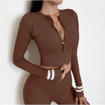 China Two Piece Set Workout Top Breathable Elastic Gym Suit Long Sleeves Tracksuits Women Yoga Fitness Set for sale