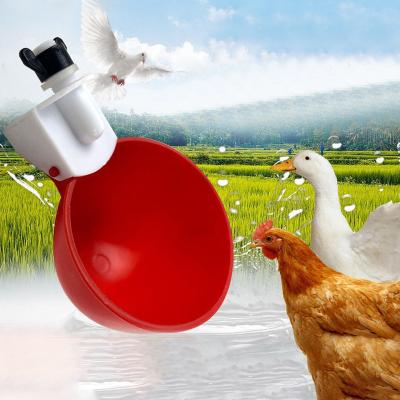 China Chicken birds pigeon quail Hot selling plastic automatic chicken duck bird animal water drinker bowl for sale