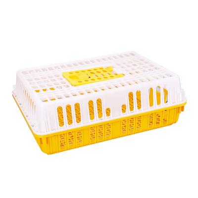 China Chicken Customization Multiple Sizes Plastic Chicken Cages Plastic Transport Crate for sale