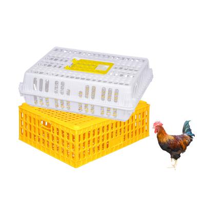 China Chicken Wholesale Farm Equipment Chick Box Layer Plastic Chicken Transport Cage for sale