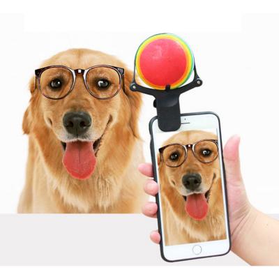 China Dog Selfie Stick With Ball Upgrade Tools Pet Selfie Selfie Stick Lets You Take A Selfie With Your Pet Conveniently for sale