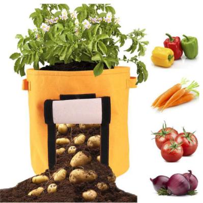 China With USB Customized Household Vegetable Planting Held Biodegradable Mushroom Garden Plant Bag Seed Cultivation And Growth Bag Grow Bag for sale