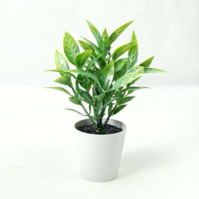 China 2022 Selling Simulation Eucalyptus Green Plant Bonsai Real Plant Dresser Artificial Potted Look Real Greenery Home Office Ministry Office for sale