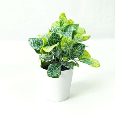 China Convenient Mini Artificial Plants Potted Small Fake Plants For Shelf Green Faux Plant In White Plastic Pot For Bathroom Home Decor for sale