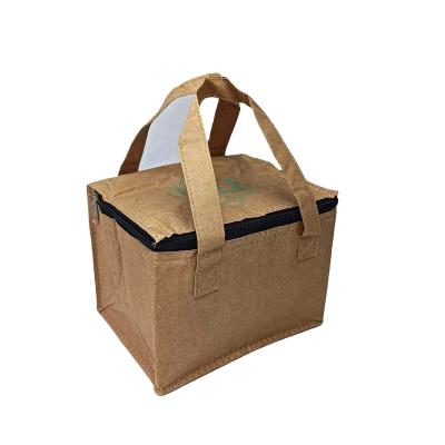 China Tyvek Kraft Luncheon Promotional Waterproof Portable Paper Bag Waterproof Custom Footprint Eco Friendly Cooler Bag for sale