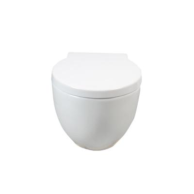 China Wall Hung Toilet Ceramic Toilet Cistern Hidden White Round Inodoro Suspendido for Bathroom Sanitary Ware for sale