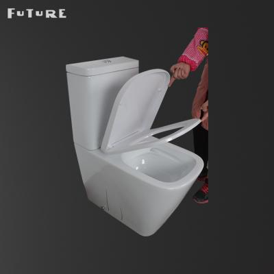 China Double-flow Back Wall Ceramic Pan Set Style Wc Bathroom Western Washdown Two Piece Toilet for sale