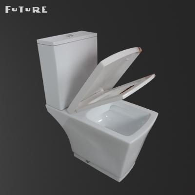 China Double-flush Hebei bathroom down wash sanitary ware washdown modern design cheap two piece toilet for sale