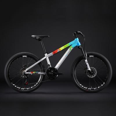 China Flat Earth MTB 24inch Mountain Bike Bicycle Children with 21 Speeds for sale