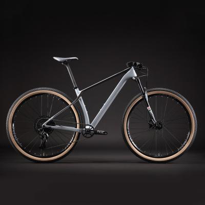 China 12*148mm carbon fiber mountain bike 12spd carbon fiber mtb 29er carbon frame bike for sale