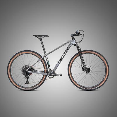 China DIRT JUMP 29er newcomers 148*12 carbon fiber mtb mountain bike with GX EAGLE-12S for sale