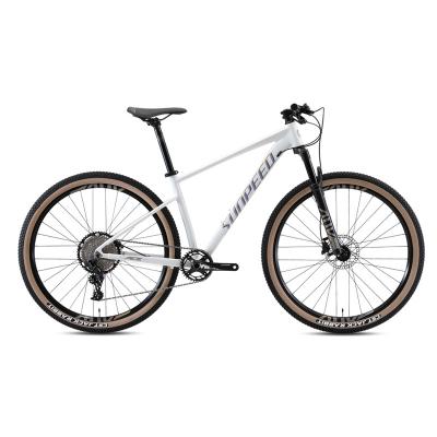 China Factory SUNPEED M6100 12spd Alloy 29 disc brake mtb mountain bike aluminum hydraulic bicicletas for adult for sale