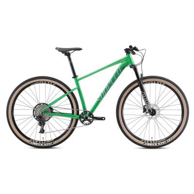 China Cheap price aluminum alloy mountain 29 aluminum alloy complete bicycle 17 19 for sale