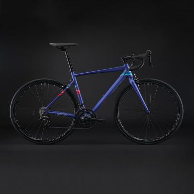 China Flat Land Strong Professional XS S M L Size 700C 16speed Road Alloy Aluminum Racing Frame Bicycle for sale