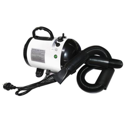 China New Products Sustainable Dog Blower High Power Hair For Small Animals Pet Dryer Machine for sale