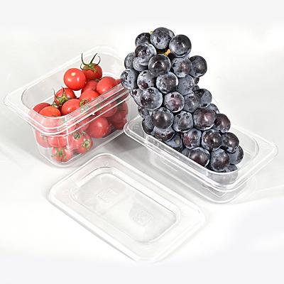 China groceries etc. Hotel Buffet GN PC Fruit Vegetable Storage Plastic Containers Pan for sale