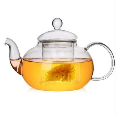 China Sustainable Hot Sales Small Clear Borosilicate Food Grade Heat Resistant Glass Teapot With Tea Strainer for sale