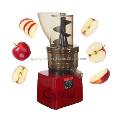 China Hotels 500W Commercial Masticating Big Mouth Slow Speed Cold Pressed Apple Fruit Juice Extractor for sale