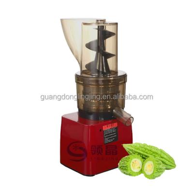 China Hotels 500W Commercial Masticating Big Mouth Slow Speed Cold Pressed Bitter Melon Juicer for sale