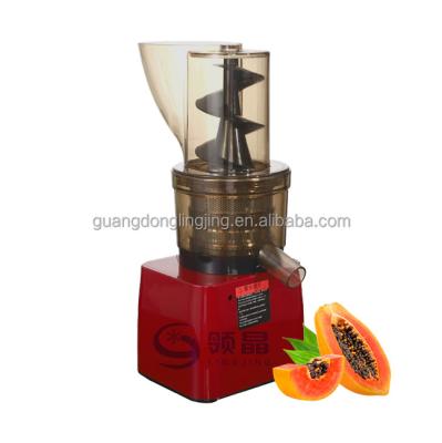 China Hotels 500W Commercial Masticating Wide Mouth Slow Speed Cold Pressed Raspberry Juicer for sale