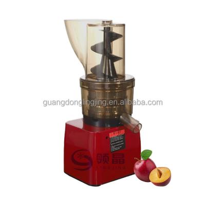 China Hotels 500W Commercial Wide Mouth Slow Speed Cold Pressed Plums Fruits Juice Extractor for sale