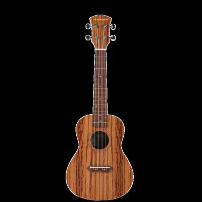 China China Brand Exquisite Gecko Ukulele Mahogany Wood Ukulele Wholesale Cheap Price Custom 23 Inch Soprano Ukulele for sale