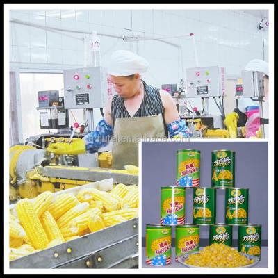 China Canned corn kernel for pizza for sale