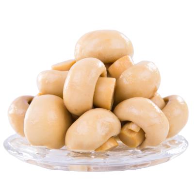 China Whole canned mushroom canned mushroom slice button mushroom in brine for sale