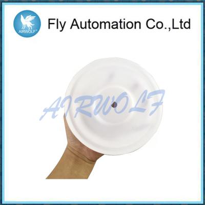 China 108839 Ptfe Air Operated Diaphragm Repair Kit 3 / 4