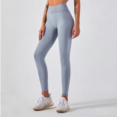 China Excellent Breathable High Elastic High Waist Solid Color Solid Color Yoga Fitness Shark Seamless Pants For Women for sale