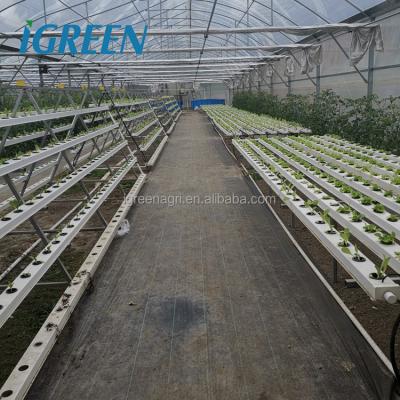 China Hydroponics systeem met revolutionaire aquaponics groeiende technologie IGAP Te koop