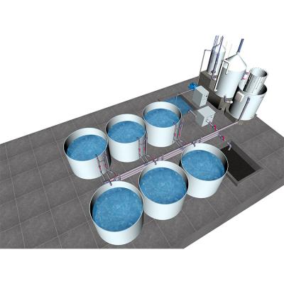 중국 실내 틸라피아 생선 수산식품 시스템 판매용