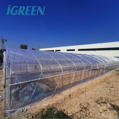 China Commercial Hydroponic Plastic Film Green House for Multi-span Agricultural Greenhouses for sale