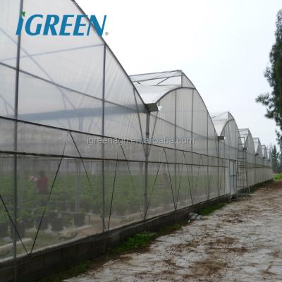 China Multi-Span Agricultural Greenhouse for Hydroponic Tomato and Optimal Irrigation System for sale