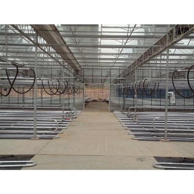 China Hot Dipped Galvanized Steel Pipe Multi Span Agriculture Greenhouse Kits for Winter Cover for sale