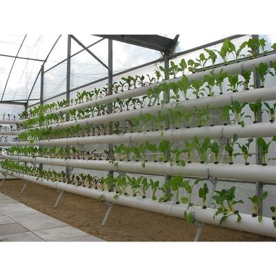 China IGreen Vertical Type Hydroponics System for Indoor Plant Growing Customized Length for sale