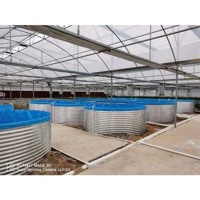 China IGreen Commercial Complete Recirculating Aquaculture System Set zonder ventilatie van het dak Te koop