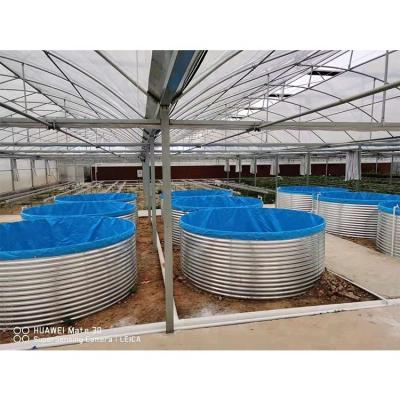 China Customized Galvanized Sheet Greenhouse Sustainable Solution for Commercial Farming for sale