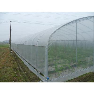 China 3.3--5m Roof Height Film Greenhouse Plastic Agricultural Metal Frame for Agricultural for sale