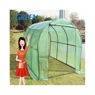 China Small IGreen Mini Greenhouse for Indoor Outdoor Plastic Plant Greenhouses for sale