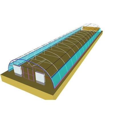 China IGreen 150/200Micron Plastic Film Greenhouse for Gulf Countries Single-Span Agricultural Greenhouses for sale