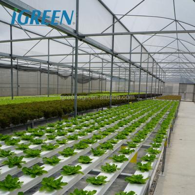 China Customized Length IGreen Vegetable Multi-Span Poly Tunnel Greenhouse for Agricultural for sale